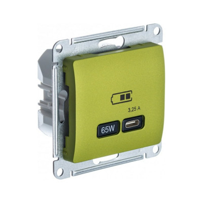 Розетка Systeme Electric Glossa GSL001027