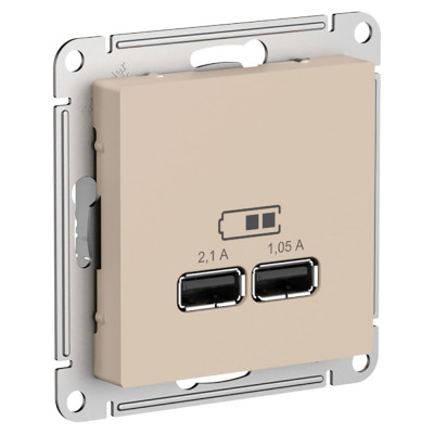 Песочный розетка usb Systeme Electric ATN001233