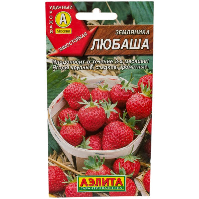 Аэлита Земляника Любаша 00-00571417