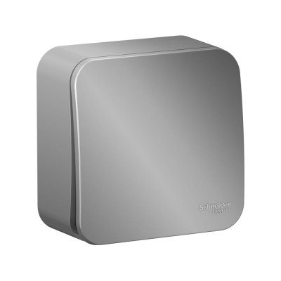 Systeme Electric ( Schneider Electric) Blanca о/у 1-клавишный выключатель (cх.1) с самовозв.,изол.пл.,10а,алюминий BLNCA101013