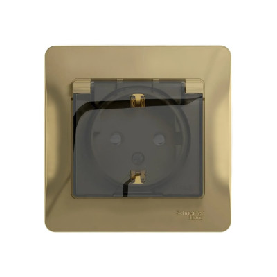 Systeme Electric ( Schneider Electric) GLOSSA РОЗЕТКА с заземлением со шторками с крышкой, 16А, IP4, ТИТАН GSL000448