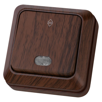 Проходной переключатель TDM ELECTRIC Ладога бук ОП одноклавишный с подсветкой SQ1801-0032