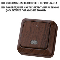 Проходной переключатель TDM ELECTRIC Ладога бук ОП одноклавишный с подсветкой SQ1801-0032