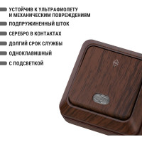 Проходной переключатель TDM ELECTRIC Ладога бук ОП одноклавишный с подсветкой SQ1801-0032