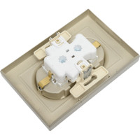Розетка Systeme Electric AtlasDesign Шампань с/з двойная, со шторками, 16А, в сборе SE ATN000526