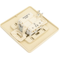 Переключатель Systeme Electric Blanca внутр Беж 1-клавишный cх.6, 10А, 250B SE BLNVS010607