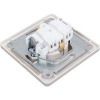 Розетка Systeme Electric Glossa Платина с/з в сборе SE GSL001242