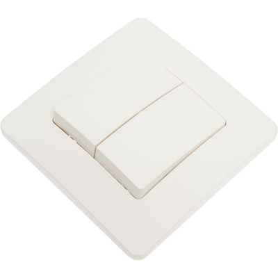 2-клавишный выключатель Systeme Electric Blanca внутренний, Молочный 6А, 250В SE BLNVS006502