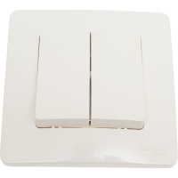 2-клавишный выключатель Systeme Electric Blanca внутренний, Молочный 6А, 250В SE BLNVS006502