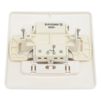 2-клавишный выключатель Systeme Electric Blanca внутренний, Молочный 6А, 250В SE BLNVS006502
