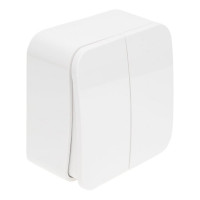 2-клавишный выключатель Systeme Electric Blanca наружный, Белый, 10А, 250B SE BLNVA105021