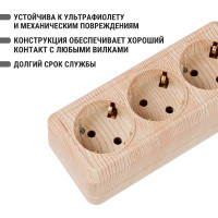 Горизонтальная 3-х местная розетка TDM ELECTRIC 2П+3 открытой установки IP20 16A сосна Ладога SQ1801-0426