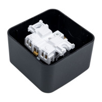 Розетка Systeme Electric Blanca о/у без пласт. антрацит с/з со шт., 16А BLNRA011106