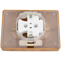 2-ая розетка Systeme Electric Blanca с/у ясень с/з IP44 со шт., 16А BLNRS441125