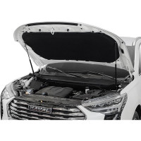 Газовые упоры капота для Haval Jolion 2021-н.в., 2 шт., АвтоУпор UHAJOL011