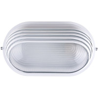 Светильник TDM ELECTRIC НПБ1207 белый, овал, ресничка, 100 Вт IP54 SQ0303-0057