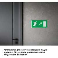 Знак "Направление к эвакуационному выходу направо вверх" TDM ELECTRIC 200х100мм, в упаковке 10 штук SQ0817-0054