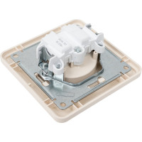 Розетка с рамкой, слоновая кость WESSEN 59 Systeme Electric RS16-151-28