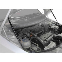 Газовые упоры капота АвтоУпор для Skoda Fabia II 2007-2014/Roomster I 2006-2015, 2 шт., USKFAB012