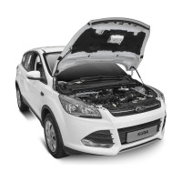Газовые упоры капота АвтоУпор для Ford Kuga II 2013-2017, 2 шт., UFDKUG012