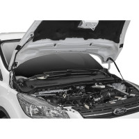 Газовые упоры капота АвтоУпор для Ford Kuga II 2013-2017, 2 шт., UFDKUG012