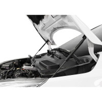 Газовые упоры капота АвтоУпор для Ford Kuga II 2013-2017, 2 шт., UFDKUG012