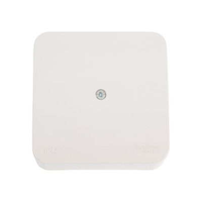 Распределительная коробка Systeme Electric BLANCA О/У IP42, МОЛОЧНЫЙ BLNRK000012