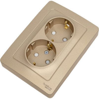 Розетка Systeme Electric Blanca с/у, двойная, с заземлением, со шторками, 16а, 250в, титан BLNRS001124