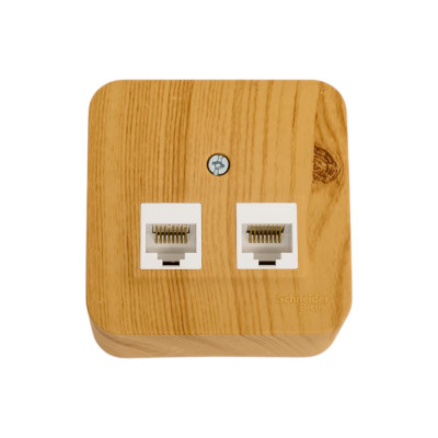 Двойная компьютерная розетка Systeme Electric Blanca открытой установки, rj45, кат.5e, изолирующая пластина, ясень BLNIA045455
