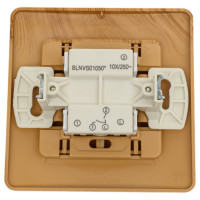 2-клавишный выключатель Systeme Electric BLANCA, скрытой установки, 10А, 250B, ясень BLNVS010505