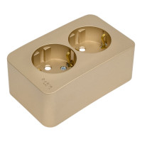 Розетка Systeme Electric Blanca о/у, двойная, с заземлением, со шторками, 16а, 250в, титан BLNRA011204