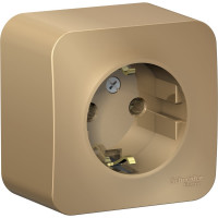 Розетка Systeme Electric Blanca о/у, с заземлением, без шторок, 16а, 250в, титан BLNRA010104
