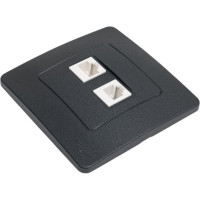 Двойная розетка: компьютерная rj45, кат.5e + телефонная rj11 Systeme Electric Blanca с/у, антрацит BLNIS045116