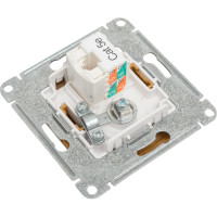 Двойная розетка: тв + компьютерная Systeme Electric Glossa rj45, кат. 5е, механизм, дерево дуб GSL000589
