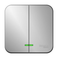 2-клавишный выключатель Systeme Electric Blanca открытой установки (cх.5) с подсветкой, 10а, 250b, алюминий BLNVA105103