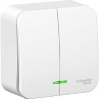 2-клавишный выключатель Systeme Electric Blanca открытой установки (cх.5) с подсветкой, 6а, 250в, белый BLNVA065101