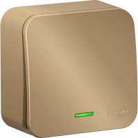 1-клавишный выключатель Systeme Electric Blanca открытой установки (cх.1) с подсветкой, 10а, 250b, титан BLNVA101104
