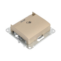 Карточный выключатель Systeme Electric сх.6, механический, титан GSL000469