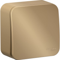 1-клавишный выключатель Systeme Electric Blanca открытой установки (cх.1), 10а, 250b, титан BLNVA101004