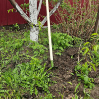 Мотыга остроугольная ООО Агростройлидер 140мм с деревянным черенком 1500мм в сборе САД-10.04.22