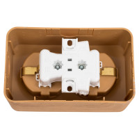 Двойная розетка Systeme Electric BLANCA, О/У, с заземлением, со шторками, ясень BLNRA011205