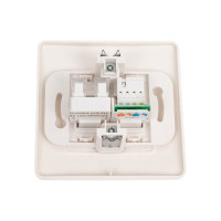 Двойная розетка Systeme Electric BLANCA, С/У, комплект RJ45 категория 5E + телефонный RJ11, молочный BLNIS045112