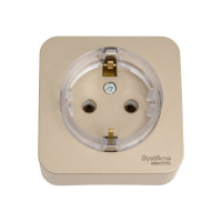 Розетка Systeme Electric BLANCA, О/У, с заземлением, без шторок, компакт, титан BLNRA110114