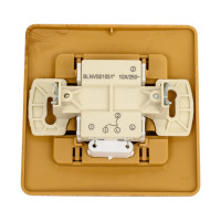 2-клавишный выключатель Systeme Electric BLANCA, С/У, с подсветкой, 10А, 250B, ясень BLNVS010515