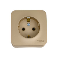Розетка Systeme Electric Blanca о/у, с заземлением, без шторок, 16а, 250в, титан BLNRA010104