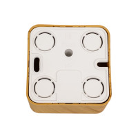 Двойная компьютерная розетка Systeme Electric Blanca открытой установки, rj45, кат.5e, изолирующая пластина, ясень BLNIA045455