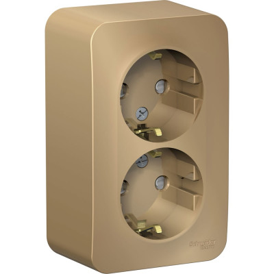 Двойная розетка Systeme Electric BLANCA, О/У, с заземлением, со шторками, 16А, 250В, титан BLNRA011214