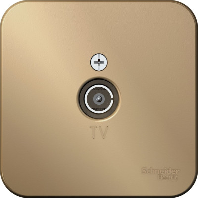 TV розетка Systeme Electric Blanca наруж Титан изолир. пластина SE BLNTA000014