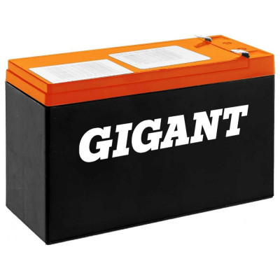 GIGANT Аккумуляторная батарея GDTM-12075