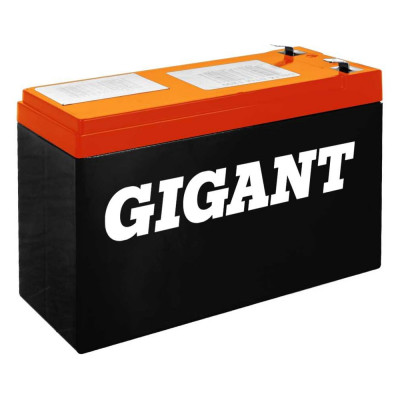 GIGANT Аккумуляторная батарея GDTM-12090
